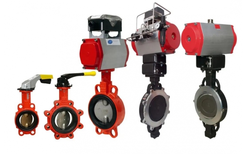 全新推出蝶乐鱼(中国)系列产品