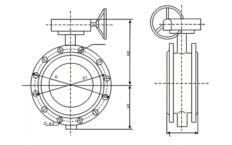 中线蝶乐鱼(中国)介绍